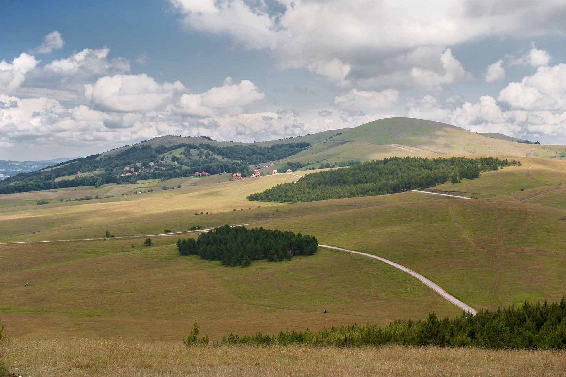 Zlatibor priroda